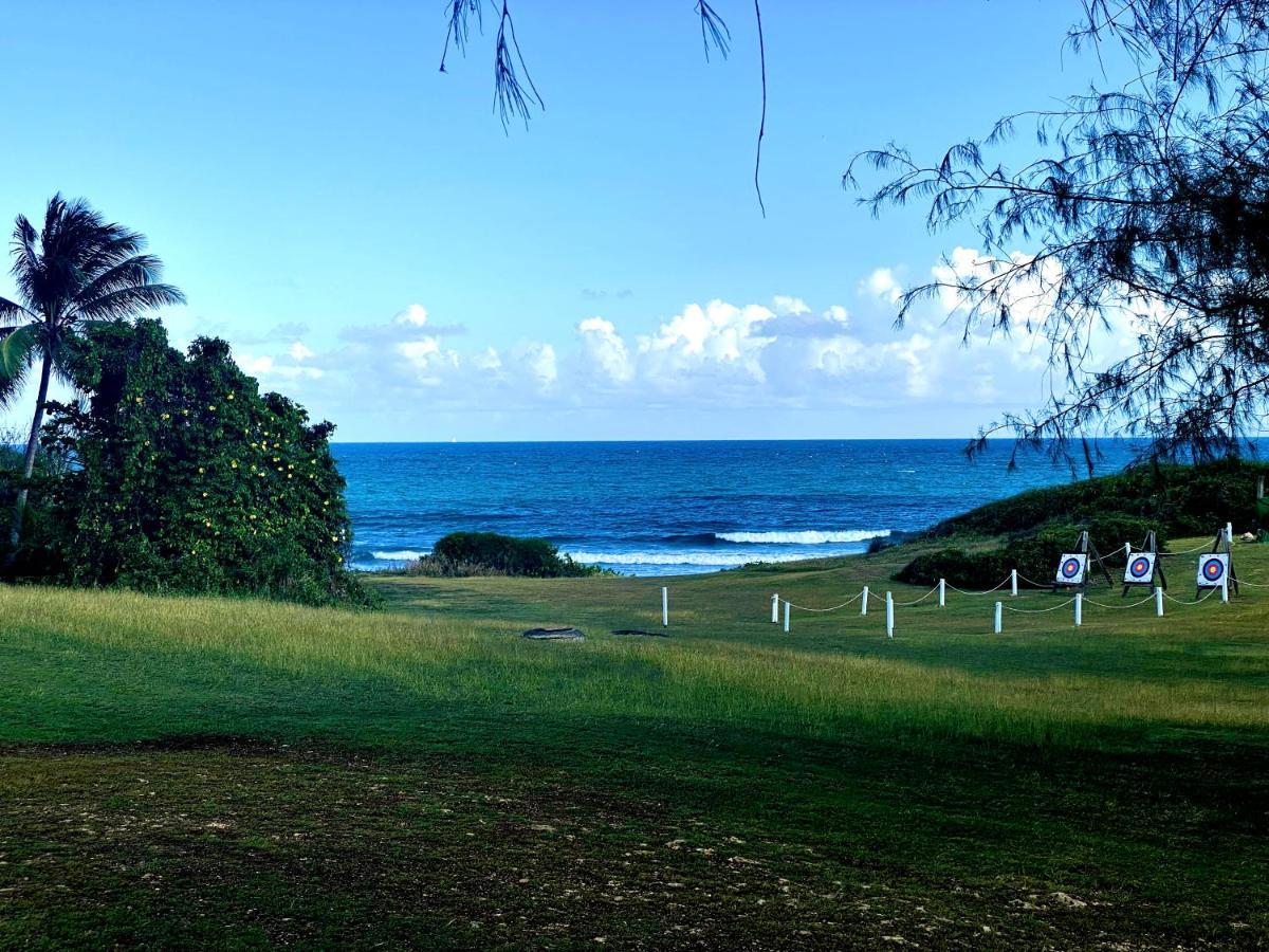 Le Paradis Zen 1Er Etage Et Rdc Vue Plage Et Mer Ste Anne Сент-Анн Экстерьер фото