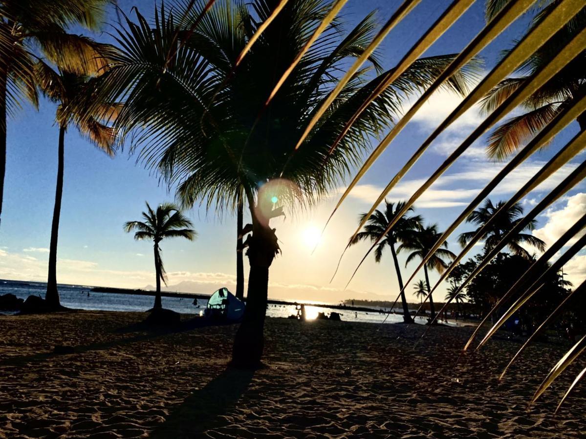 Le Paradis Zen 1Er Etage Et Rdc Vue Plage Et Mer Ste Anne Сент-Анн Экстерьер фото