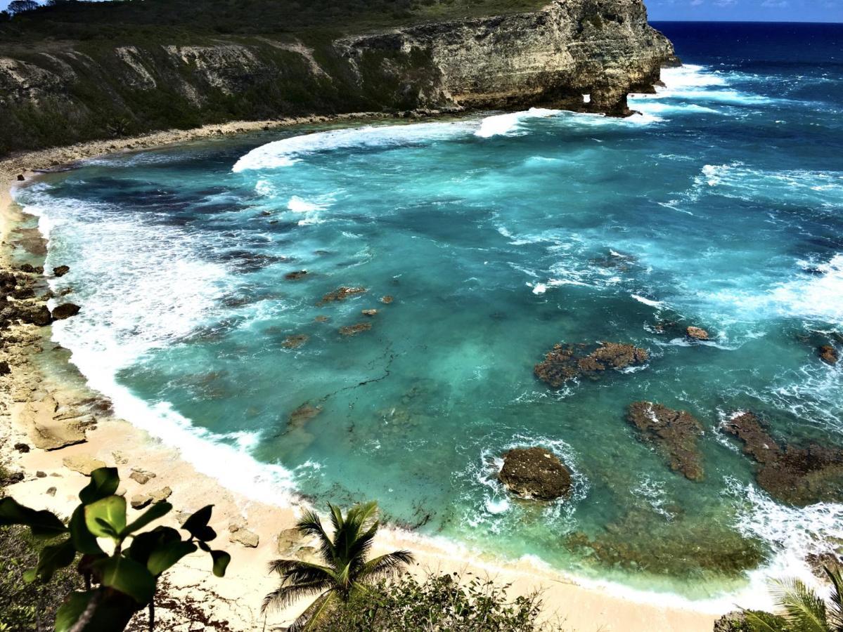 Le Paradis Zen 1Er Etage Et Rdc Vue Plage Et Mer Ste Anne Сент-Анн Экстерьер фото