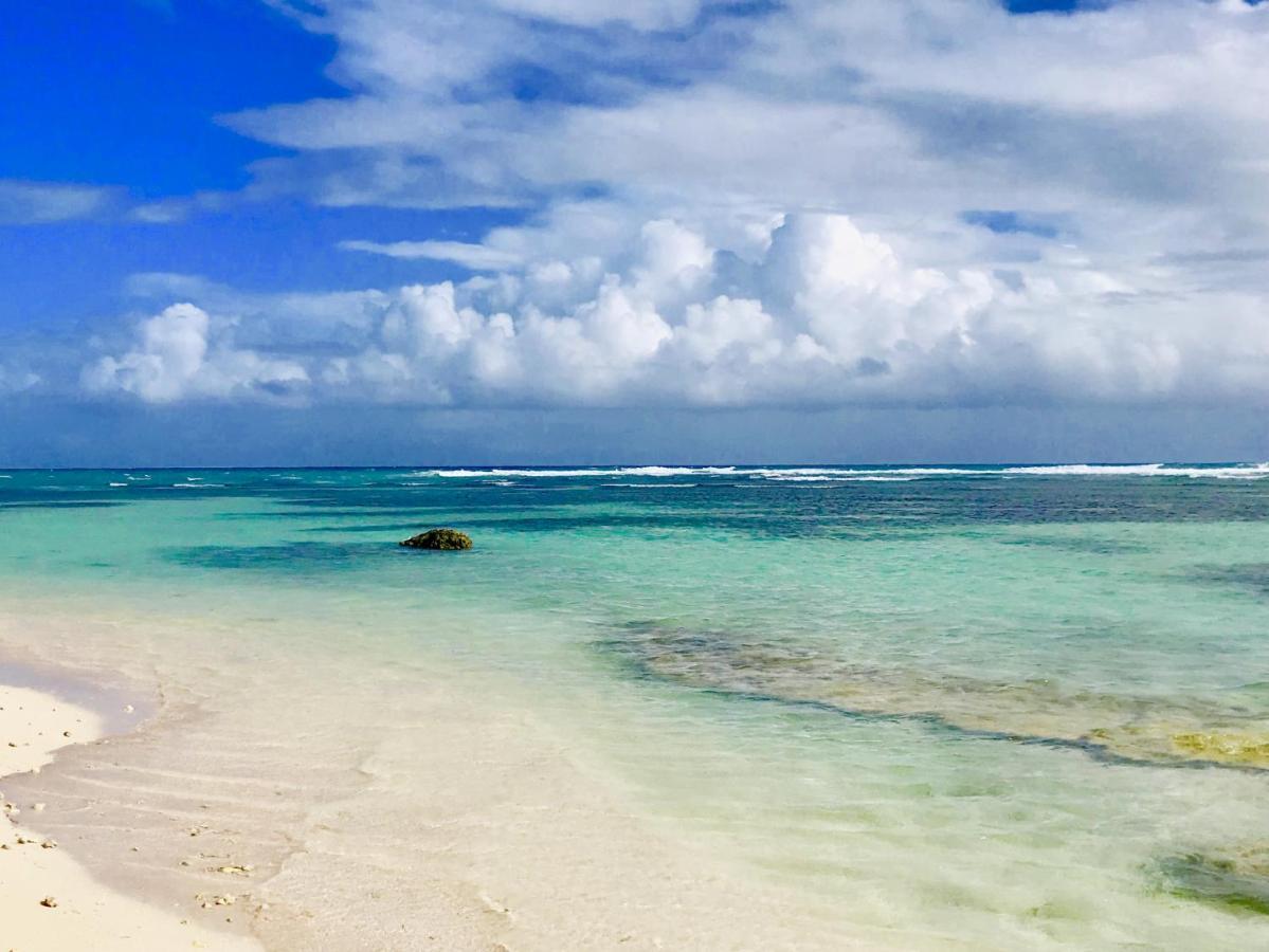 Le Paradis Zen 1Er Etage Et Rdc Vue Plage Et Mer Ste Anne Сент-Анн Экстерьер фото